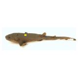 Antique 30" dog fish, full mount