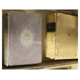 Lot, 2 NYC books: Light & Shadows of NY Life by