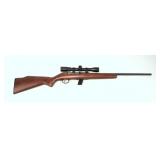 Savage Model 64 .22LR semi-auto, 20" barrel with