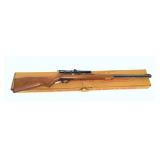 Marlin Model 60 .22 LR semi-auto rifle, 22" barrel