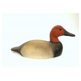 Herters canvasback