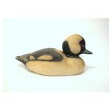 Herters bufflehead