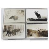 Album Postcards of Alaska - some real photos;