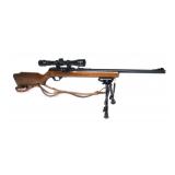 Marlin Model 717M2 .17 Mach 2 semi-auto, 18"