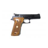 Smith & Wesson Model 422 Target .22 LR semi-auto,