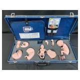 Vintage Nasco Fetus Pregnancy Baby Set in Hard Case