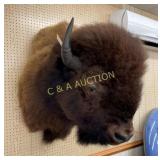 TAXIDERMY MOUNTED BISON 38X40