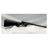 (55OEL) US SURVIVAL GUN 22LR HENRY W/ RAILING
