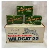550 ROUNDS 22LR WINCHESTER/REMINGTON