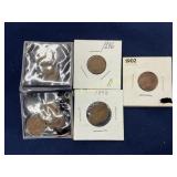 Group of 8 Indian Head Cents, 1896, 1898, 1902, an