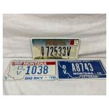 Three Montana License Plates: 2008, 1976, and Disa