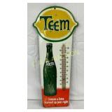 Teem Emb. Thermometer Sign, 12in x 28in