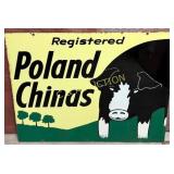 DS Metal Registered Poland"w/pig 36x28