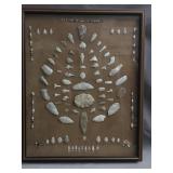 American Indian antique arrowheads & blades