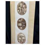 N. Nemec "Mushroom Series" Etching Engraving