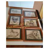 6 Misc. Wildlife  Framed Prints by Don Wagner