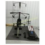 Cross Bow System & Total Gym w/Carpet