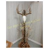 Tall European Deer Mount