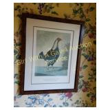 Framed C.R. Stock Print