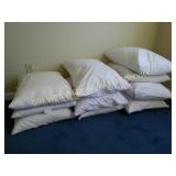 10 Pillow
