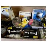 Variety of Light Bulbs