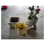 Metal Water Can, Flower Pots