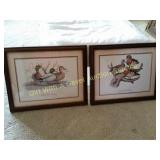 Kothenbeutel Duck Prints w/COA