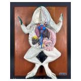 Carolina Biological Supply Frog Educational Model, 21'x16'