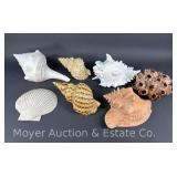 Group of Large Decorative Sea Shells, All Faux, 9”-14”