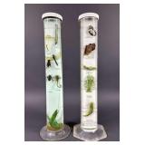 (2) Fisher Scientific Co. Stansi Biology Division Crustaceans and Arthropoda Preserved Specimens