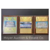 1992, 1993 and 1995 Dallas Cowboys Super Bowl Plaques, 16'x13'