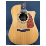 Fender Acoustic Guitar, with Fender Hard Case