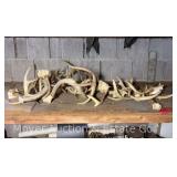 Group of Deer Antlers