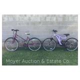 (2) Ladies Bicycles