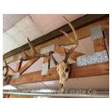 (2) Deer Skull/Antler Mounts