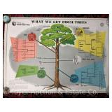 (2) US Forestry Posters, 28'x40”