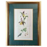 Watercolor of Flowers and Hummingbird, Artist Signed and Dated, Framed 35'x25'