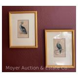 Pair of Framed Avian Prints, 13'x10'