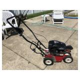 Craftsman Edger