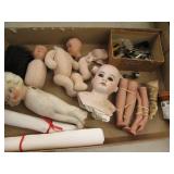 Doll Parts