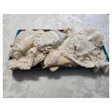 Doilies