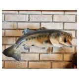 Large Mouth Bass Taxidermy