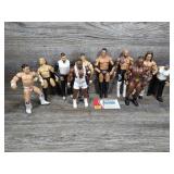 Wrestling Action Figures