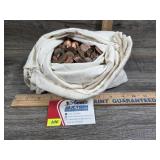 Bag of Pennies 18lb   (9oz=$1)