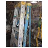 Pair Werner Ladders 6