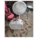 Fan Pair