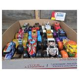 Hot Wheels Monster Jam (12)