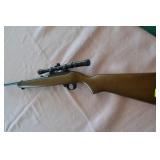 Ruger 10/22 Carbine 22