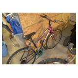 Roadmaster Mountain Bike