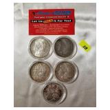 Morgan Silver Dollar Lot of 5